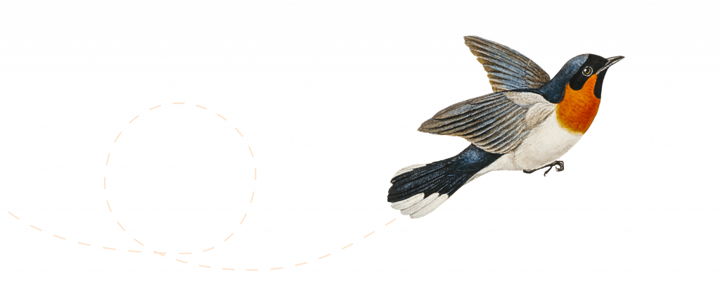 Illustration of a bird flying.